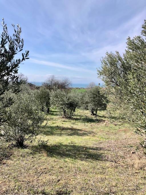 Summer House Spiti Pirgos Επανωμή Εξωτερικό φωτογραφία